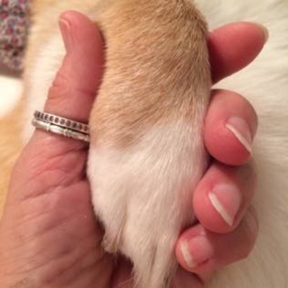 Meet your Posher, Julie